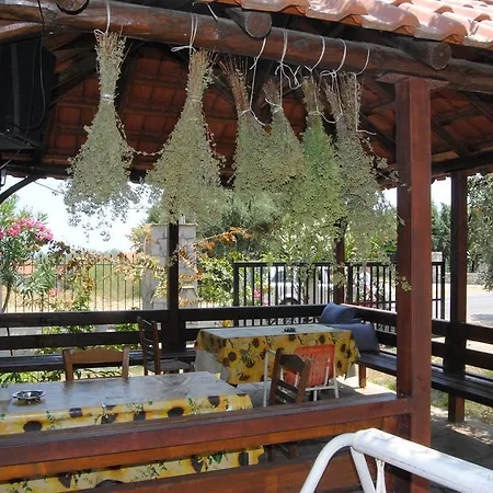 Alba Thassos Koinira