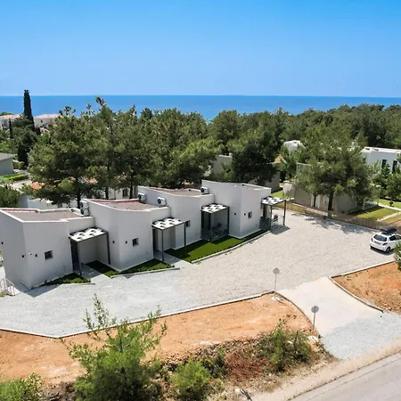 Pine Apartment